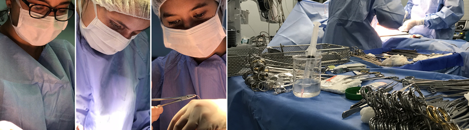 Imagen de la página inicial de la revista