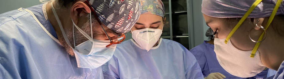 Imagen de la página inicial de la revista