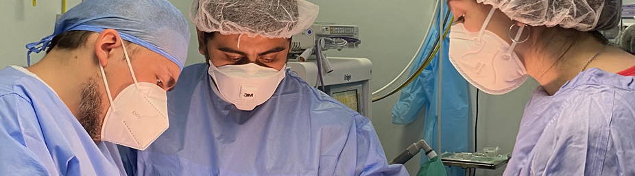 Imagen de la página inicial de la revista