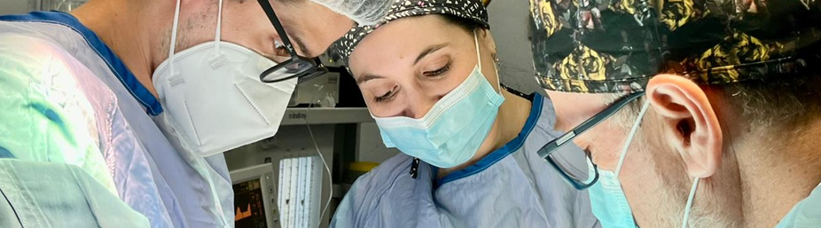 Imagen de la página inicial de la revista