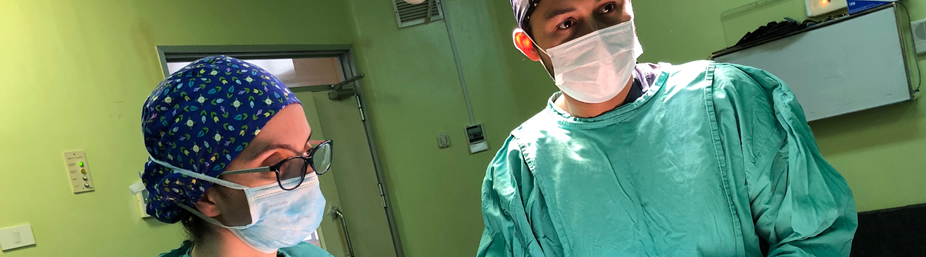 Imagen de la página inicial de la revista