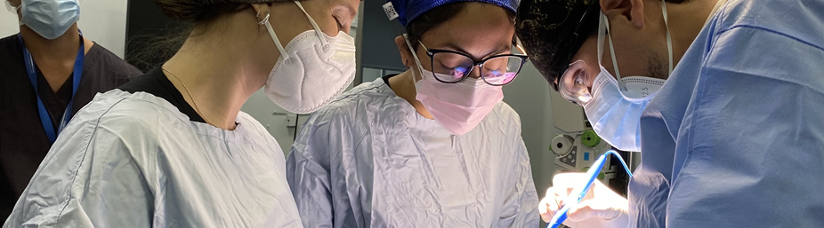 Imagen de la página inicial de la revista