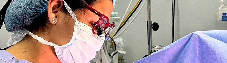 Imagen de la página inicial de la revista